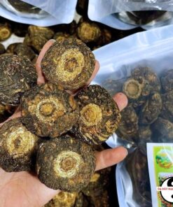 Củ sâm Maca Peru đen khô, sâm macca peru, ma ca pê ru thượng hạng nhập khẩu chính gốc Cộng Hoà Peru