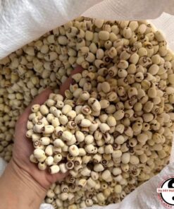 Hạt sen sấy khô Huế hữu cơ bở ngon loại 1 (200g, 500g, 1kg) nấu chè, sữa hạt, cho bé ăn dặm