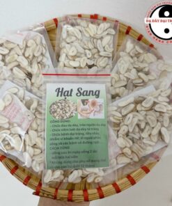 Hạt sang, hạt sành già, lõi trắng cạo vỏ, cắt sẵn (1 gói to dùng 30 ngày) rừng Tây Bắc