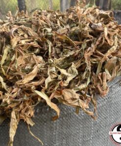 Lá trinh nữ hoàng cung sấy khô sao vàng hạ thổ loại 1 (500g 1kg) hỗ trợ u xơ tử cung, viêm nhiễm phụ khoa
