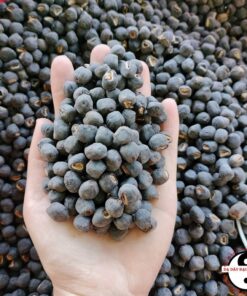 Hạt chuối hột rừng cô đơn khô ngâm rượu loại 1 (500g, 1kg). Hạt chuối chân voi, hột lớn, mồ côi, chuối hột rừng Tây Bắc