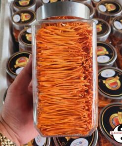 Nấm Đông trùng hạ thảo sấy khô thăng hoa Huy Cương (lọ thuỷ tinh 50g) loại 1, sợi đẹp thượng hạng