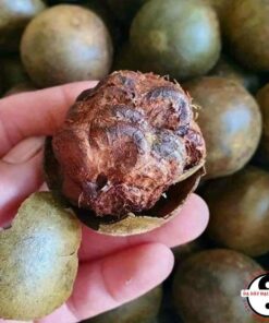 La hán quả sấy khô loại 1 (to, già, ngọt) giúp thanh nhiệt, giải độc