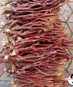 Nấm linh chi sừng hươu Tây Bắc ngâm rượu (500g, 1kg) thu hái rừng, phơi sấy khô tự nhiên