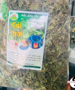 Cây rau cải trời, hạ khô thảo hữu cơ sấy khô loại 1 rừng Tây Bắc chữa bướu cổ, tiêu viêm, giải độc