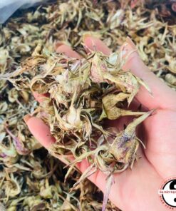 Hoa atiso, bông atiso, actiso xanh Sapa loại 1 giúp giải độc gan, tăng cường chức năng gan